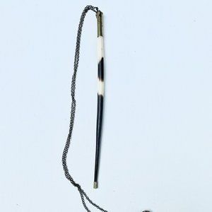 Porcupine Quill in bullet casing